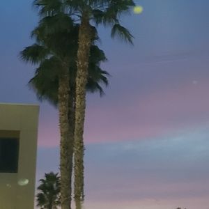 Meet your Posher, Azucena